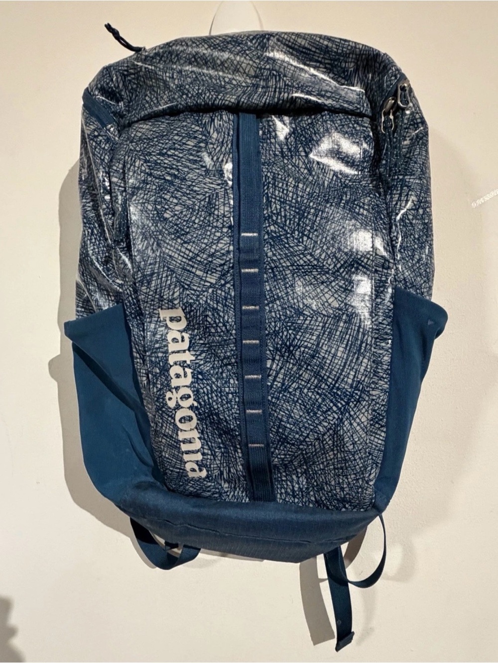 Patagonia Blue Patterned Everyday Backpack